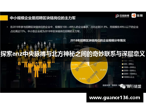 探索anz中央脉搏与北方神秘之间的奇妙联系与深层意义